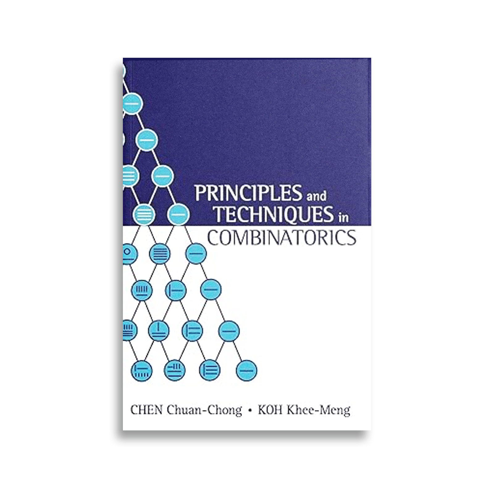 Princípios e Técnicas em Combinatória